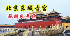 美女搞肌白丝一区二区中国北京-东城古宫旅游风景区